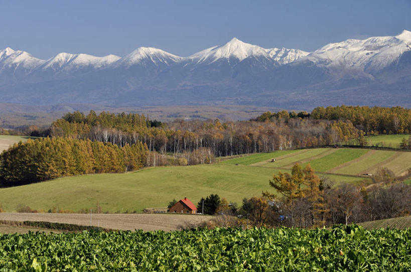 无人,家,横图,室外,白天,正面,旅游,度假,草地,草坪,美景,森林,山,山脉,树林,雪山,植物,北海道,日本,亚洲,阴影,光线,影子,房屋,屋子,景观,山峰,山峦,娱乐,楼房,住宅,草,树,树木,黄色,蓝色,绿色,白色,蓝天,天空,阳光,自然,群山,天,享受,休闲,景色,放松,生长,成长,自然风光,东亚,日本国,北海道地方,北海道岛,彩图,房子