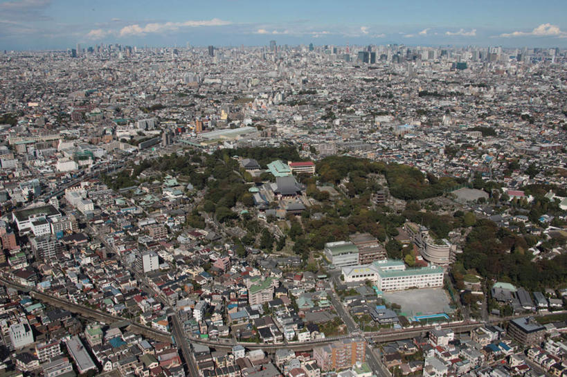 无人,家,高楼大厦,寺庙,横图,全景,俯视,航拍,室外,白天,度假,海浪,海洋,河流,美景,山,山脉,树林,水,天际线,植物,城市风光,城市,大厦,道路,路,摩天大楼,公路,东京,日本,亚洲,阴影,节日,光线,影子,房屋,屋子,地平线,河水,景观,浪花,山峰,水流,云,云朵,辽阔,地面,交通,山峦,燃烧,云彩,文化,娱乐,楼房,住宅,树,树木,蓝色,绿色,白云,蓝天,天空,阳光,自然,海水,香火,庙宇,群山,天,祈祷,享受,休闲,广阔,健康,景色,放松,许愿,宗教,信仰,生长,成长,纪念,一望无际,祈求,鸟瞰,延伸,海景,东亚,本州,关东地方,本州岛,日本国,东京都,天地相交,无边无际,一马平川,池上本门寺,太田区,平安,大海,风浪,海,海水的波动,近岸浪,涌浪,马路,彩图,高角度拍摄,房子,大楼,高层建筑,高楼,庙,摩天楼,寺