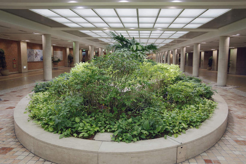 无人,横图,室内,白天,正面,度假,美景,树林,植物,天花板,城市风光,标志建筑,城市,地标,建筑,照明,日本,亚洲,阴影,光线,瓷砖,地砖,花坛,影子,柱子,景观,灯光,地面,娱乐,建设,顶灯,灯,树,树木,绿色,自然,灯具,享受,休闲,景色,放松,大阪,生长,成长,照亮,照明设备,东亚,本州,大阪府,本州岛,日本国,近畿地方,近畿,大阪站,彩图