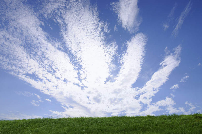 无人,横图,室外,白天,仰视,旅游,度假,草地,草坪,美景,植物,日本,亚洲,阴影,光线,影子,景观,云,云朵,云彩,娱乐,草,蓝色,绿色,白云,蓝天,天空,阳光,自然,天,享受,休闲,景色,放松,晴朗,自然风光,东亚,本州,关东地方,本州岛,日本国,崎玉,崎玉县,晴空,彩图,低角度拍摄