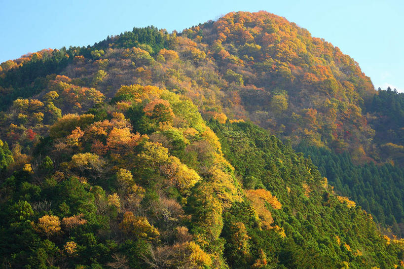 无人,横图,俯视,室外,白天,旅游,度假,美景,山,山脉,树林,植物,日本,亚洲,阴影,光线,影子,景观,山峰,山峦,娱乐,树,树木,蓝色,绿色,蓝天,天空,自然,群山,天,享受,休闲,景色,放松,生长,成长,自然风光,东亚,本州,关东地方,本州岛,日本国,崎玉,崎玉县,彩图,高角度拍摄
