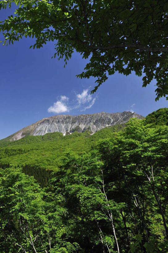 无人,竖图,室外,白天,仰视,旅游,度假,美景,山,山脉,树林,植物,日本,亚洲,阴影,光线,影子,景观,山峰,云,云朵,山峦,云彩,娱乐,树,树木,蓝色,绿色,白云,蓝天,天空,自然,群山,天,享受,休闲,景色,放松,生长,成长,自然风光,东亚,本州,本州岛,日本国,中国地方,鸟取,鸟取县,彩图,低角度拍摄