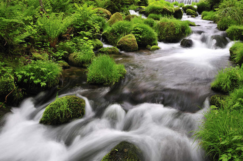 无人,横图,俯视,室外,白天,长时间曝光,旅游,度假,河流,石头,美景,树林,水,植物,叶子,日本,亚洲,阴影,朦胧,模糊,光线,石子,影子,河水,景观,水流,绿叶,苔藓,娱乐,树,树木,绿色,小溪,自然,溪水,享受,休闲,嫩叶,景色,放松,生长,成长,自然风光,曝光,东亚,本州,本州岛,日本国,中国地方,鸟取,鸟取县,暴光,叶,叶片,石块,岩石,彩图,高角度拍摄
