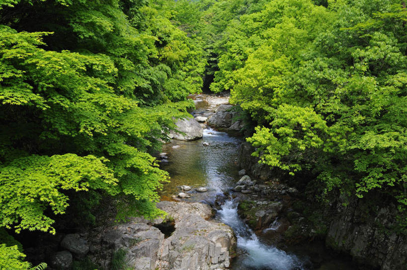 无人,横图,室外,白天,正面,旅游,度假,河流,礁石,石头,美景,树林,水,植物,日本,亚洲,石子,河水,景观,水流,娱乐,树,树木,蓝色,绿色,倒影,蓝天,天空,小溪,自然,天,溪水,享受,休闲,景色,放松,流动,生长,晴朗,成长,自然风光,流淌,东亚,万里无云,日本国,礁,石块,岩石,晴空,晴空万里,彩图