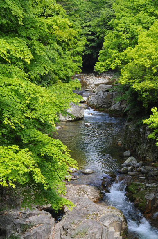无人,竖图,室外,白天,正面,旅游,度假,河流,礁石,石头,美景,树林,水,植物,日本,亚洲,石子,河水,景观,水流,娱乐,树,树木,蓝色,绿色,倒影,蓝天,天空,小溪,自然,天,溪水,享受,休闲,景色,放松,流动,生长,晴朗,成长,自然风光,流淌,东亚,万里无云,日本国,礁,石块,岩石,晴空,晴空万里,彩图
