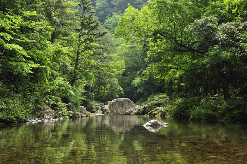 无人,横图,室外,白天,正面,旅游,度假,河流,礁石,石头,美景,树林,水,植物,日本,亚洲,石子,河水,景观,水流,娱乐,树,树木,蓝色,绿色,倒影,蓝天,天空,小溪,自然,天,溪水,享受,休闲,景色,放松,流动,生长,晴朗,成长,自然风光,流淌,东亚,万里无云,日本国,礁,石块,岩石,晴空,晴空万里,彩图