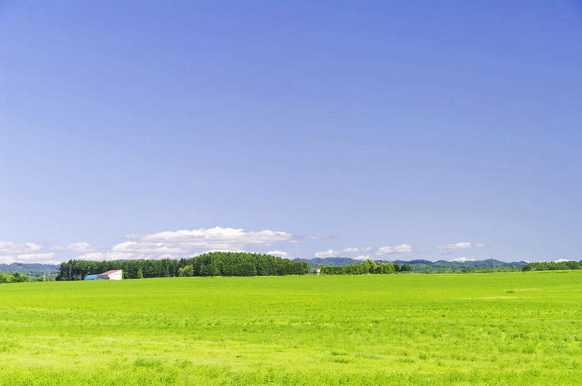 无人,家,农田,横图,室外,白天,正面,旅游,度假,庄稼,农作物,美景,山,山脉,植物,道路,路,北海道,日本,亚洲,阴影,光线,影子,房屋,屋子,景观,山峰,云,云朵,小路,交通,山峦,云彩,娱乐,楼房,住宅,树,树木,蓝色,绿色,白云,蓝天,天空,阳光,自然,群山,天,享受,休闲,景色,放松,乡间小路,生长,晴朗,成长,自然风光,东亚,日本国,北海道地方,北海道岛,晴空,彩图,耕地,庄稼田,房子