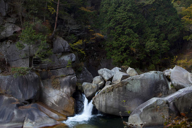 无人,横图,室外,白天,正面,旅游,度假,河流,石头,美景,秋季,水,植物,叶子,日本,亚洲,许多,波纹,石子,河水,景观,水流,枯叶,落叶,涟漪,娱乐,树,树木,黄色,绿色,水纹,小溪,自然,波浪,溪水,享受,休闲,景色,放松,流动,生长,成长,自然风光,流淌,东亚,本州,本州岛,日本国,中部地方,山梨,山梨县,水晕,叶,叶片,石块,岩石,秋,秋天,彩图