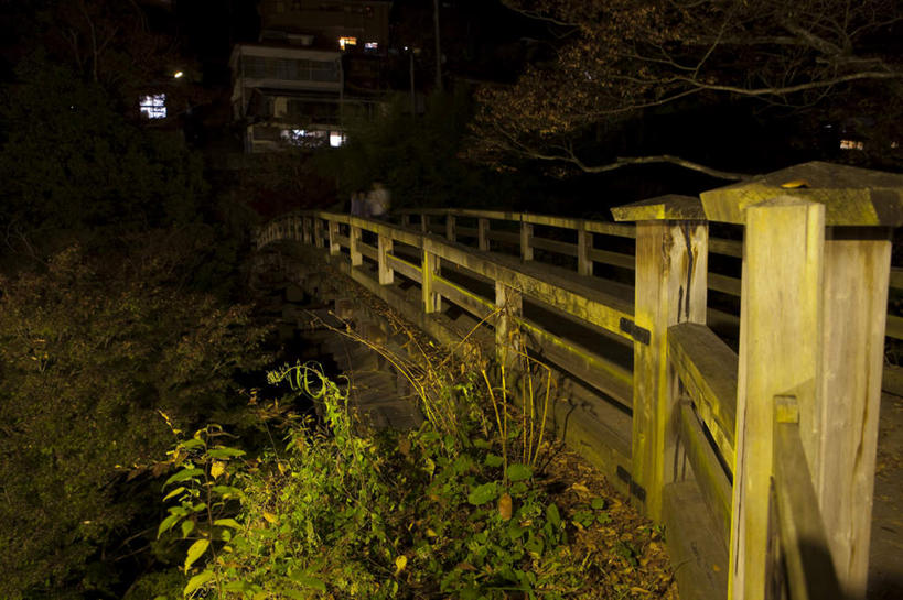 无人,家,横图,室外,夜晚,正面,旅游,度假,美景,植物,城市风光,城市,建筑,日本,亚洲,一座,阴影,光线,木制,木板,影子,房屋,屋子,景观,公寓,桥,灯光,木桥,娱乐,建设,洋房,楼房,住宅,栈桥,绿色,自然,木制品,享受,休闲,景色,放松,灌木,人行桥,木板桥,自然风光,东亚,本州,本州岛,日本国,中部地方,山梨,山梨县,彩图,房子