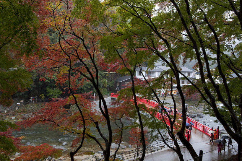 无人,家,栏杆,横图,俯视,室外,白天,旅游,度假,美景,秋季,雨,植物,暴雨,大雨,城市风光,城市,道路,建筑,路,叶子,爱知县,日本,亚洲,许多,木制,房屋,屋子,景观,公寓,建筑群,围栏,小路,枯叶,落叶,交通,娱乐,建设,洋房,护栏,楼房,住宅,树,树木,绿色,自然,木制品,享受,休闲,景色,放松,生长,成长,细雨,东亚,本州,本州岛,日本国,中部地方,爱知,叶,叶片,秋,秋天,小雨,彩图,高角度拍摄,房子