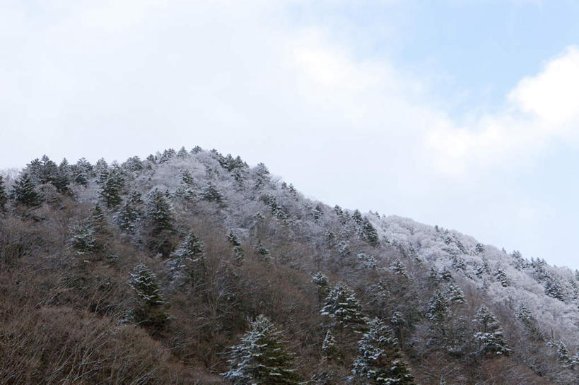 无人,横图,室外,白天,仰视,旅游,度假,美景,山脉,树林,植物,日本,亚洲,景观,云,云朵,冬季,冬天,云彩,娱乐,树,树木,蓝色,绿色,白云,蓝天,天空,自然,天,享受,休闲,景色,放松,寒冷,生长,晴朗,成长,自然风光,东亚,本州,本州岛,日本国,中部地方,岐阜,岐阜县,严寒,凛冽,晴空,彩图,低角度拍摄