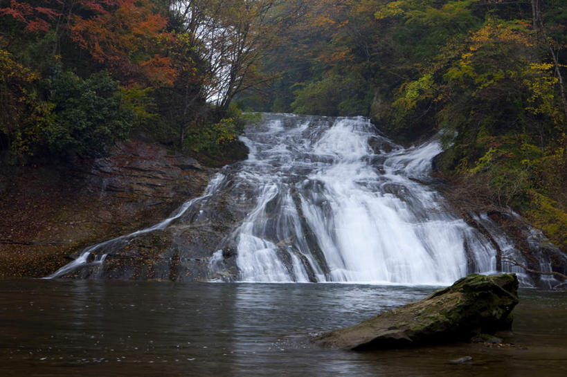 无人,横图,室外,白天,正面,旅游,度假,河流,美景,瀑布,秋季,水,植物,日本,亚洲,飞溅,湍急,溅,液体,河水,景观,水滴,水流,千叶县,娱乐,水珠,树,树木,绿色,自然,享受,休闲,景色,放松,流动,生长,成长,喷洒,自然风光,流淌,东亚,本州,关东地方,本州岛,日本国,千叶,跌水,秋,秋天,彩图