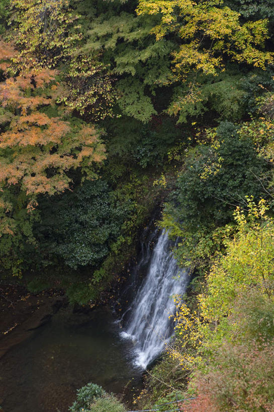 无人,竖图,俯视,室外,白天,旅游,度假,美景,瀑布,秋季,水,植物,叶子,日本,亚洲,许多,飞溅,湍急,溅,液体,景观,水滴,枯叶,落叶,千叶县,娱乐,水珠,树,树木,黄色,绿色,自然,享受,休闲,景色,放松,流动,生长,成长,喷洒,自然风光,流淌,东亚,本州,关东地方,本州岛,日本国,千叶,叶,叶片,跌水,秋,秋天,彩图,高角度拍摄