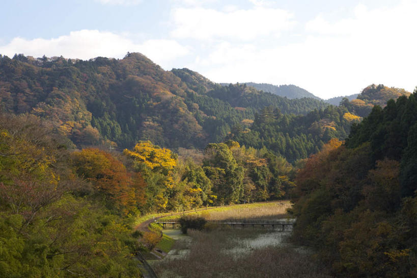 无人,横图,俯视,室外,白天,旅游,度假,美景,秋季,树林,植物,叶子,日本,亚洲,许多,阴影,光线,木板,影子,景观,云,云朵,桥,枯叶,落叶,木桥,千叶县,云彩,娱乐,栈桥,树,树木,黄色,蓝色,绿色,白云,蓝天,天空,阳光,自然,天,享受,休闲,景色,放松,生长,晴朗,成长,人行桥,木板桥,沼泽,自然风光,东亚,本州,关东地方,本州岛,日本国,千叶,池沼,叶,叶片,晴空,秋,秋天,彩图,高角度拍摄