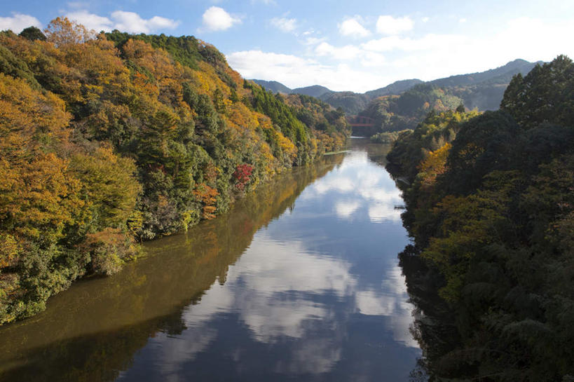 无人,横图,俯视,室外,白天,旅游,度假,湖,湖泊,美景,秋季,树林,水,植物,叶子,日本,亚洲,许多,阴影,平静,光线,影子,湖面,景观,水流,水面,云,云朵,枯叶,落叶,千叶县,云彩,娱乐,树,树木,黄色,蓝色,绿色,白云,倒影,蓝天,天空,阳光,自然,湖水,天,享受,休闲,景色,安静,放松,生长,晴朗,成长,宁静,静谧,自然风光,东亚,本州,关东地方,本州岛,日本国,镇静,千叶,冷静,沉静,安祥,僻静,清静,太平,叶,叶片,晴空,秋,秋天,彩图,高角度拍摄