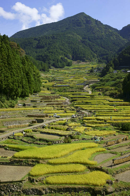 无人,栏杆,竖图,俯视,室外,白天,旅游,度假,梯田,石头,美景,山,山脉,树林,植物,爱知县,日本,亚洲,阴影,光线,石子,影子,栅栏,景观,篱笆,山顶,山峰,云,云朵,围栏,山峦,云彩,娱乐,护栏,树,树木,蓝色,绿色,白云,蓝天,天空,阳光,自然,群山,天,享受,休闲,景色,放松,生长,晴朗,成长,自然风光,东亚,沉积岩,本州,本州岛,日本国,中部地方,爱知,颠峰,极峰,水成岩,石块,岩石,晴空,彩图,高角度拍摄