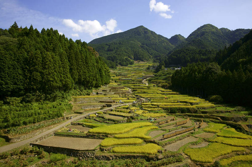 无人,栏杆,横图,俯视,室外,白天,旅游,度假,梯田,石头,美景,山,山脉,树林,植物,道路,路,爱知县,日本,亚洲,阴影,光线,石子,影子,栅栏,景观,篱笆,山顶,山峰,云,云朵,围栏,小路,交通,山峦,云彩,娱乐,护栏,树,树木,蓝色,绿色,白云,蓝天,天空,阳光,自然,群山,天,享受,休闲,景色,放松,乡间小路,生长,晴朗,成长,自然风光,东亚,沉积岩,本州,本州岛,日本国,中部地方,爱知,颠峰,极峰,水成岩,石块,岩石,晴空,彩图,高角度拍摄