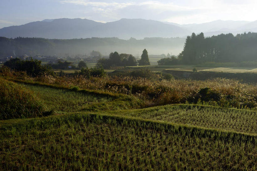 无人,家,农田,横图,室外,白天,正面,旅游,度假,农业,庄稼,农作物,草原,湖,湖泊,石头,美景,山,山脉,树林,水,植物,日本,亚洲,一排,阴影,整齐,光线,石子,影子,房屋,屋子,稻田,湖面,景观,山顶,山峰,水流,水面,云,云朵,山峦,云彩,娱乐,楼房,住宅,树,树木,排列,蓝色,绿色,白云,蓝天,天空,阳光,自然,湖水,群山,天,享受,休闲,景色,放松,生长,晴朗,成长,队列,自然风光,东亚,沉积岩,本州,本州岛,日本国,中部地方,岐阜,岐阜县,颠峰,极峰,水成岩,石块,岩石,晴空,彩图,耕地,庄稼田,房子