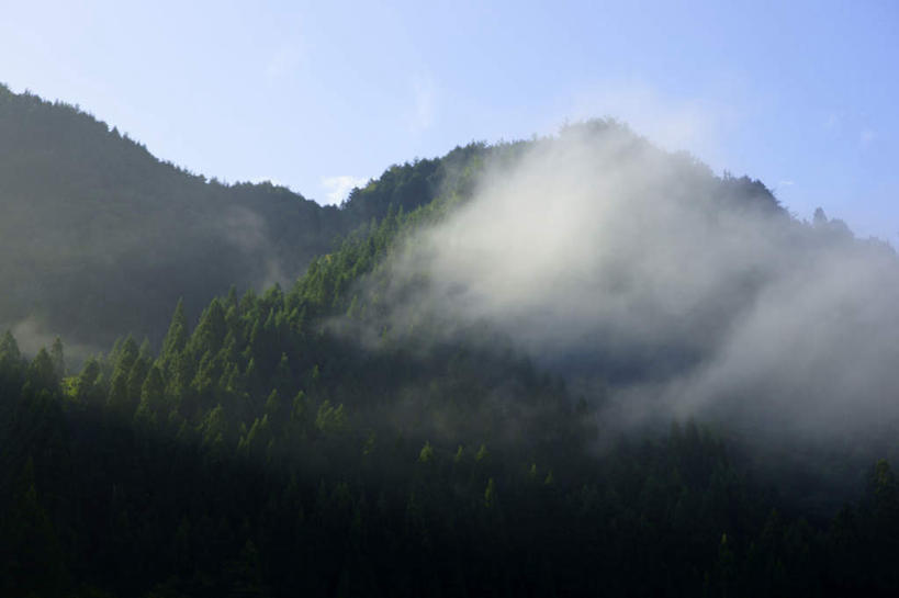 无人,横图,室外,白天,正面,旅游,度假,石头,美景,山,山脉,树林,植物,雾,日本,亚洲,阴影,朦胧,模糊,光线,石子,影子,景观,山顶,山峰,云,云朵,山峦,云彩,娱乐,树,树木,蓝色,绿色,白云,蓝天,天空,阳光,自然,群山,天,享受,休闲,景色,放松,生长,晴朗,成长,迷雾,自然风光,东亚,沉积岩,本州,本州岛,日本国,中部地方,岐阜,岐阜县,颠峰,极峰,水成岩,石块,岩石,大雾,晴空,彩图