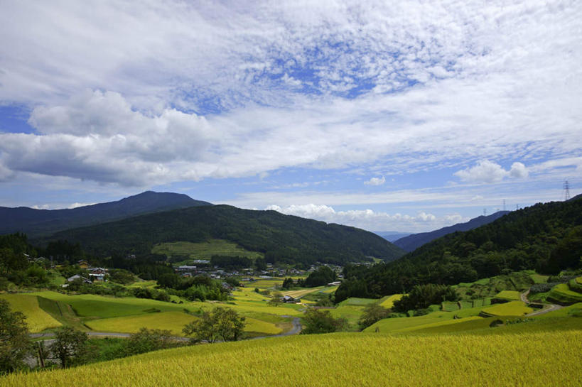 无人,家,农田,横图,室外,白天,正面,旅游,度假,农业,庄稼,梯田,农作物,石头,美景,山,山脉,植物,道路,路,日本,亚洲,阴影,光线,石子,影子,房屋,屋子,稻田,景观,山顶,山峰,云,云朵,小路,交通,山峦,云彩,娱乐,楼房,住宅,树,树木,蓝色,绿色,白云,蓝天,天空,阳光,自然,群山,天,享受,休闲,景色,放松,乡间小路,生长,晴朗,成长,自然风光,东亚,沉积岩,本州,本州岛,日本国,中部地方,岐阜,岐阜县,颠峰,极峰,水成岩,石块,岩石,晴空,彩图,耕地,庄稼田,房子