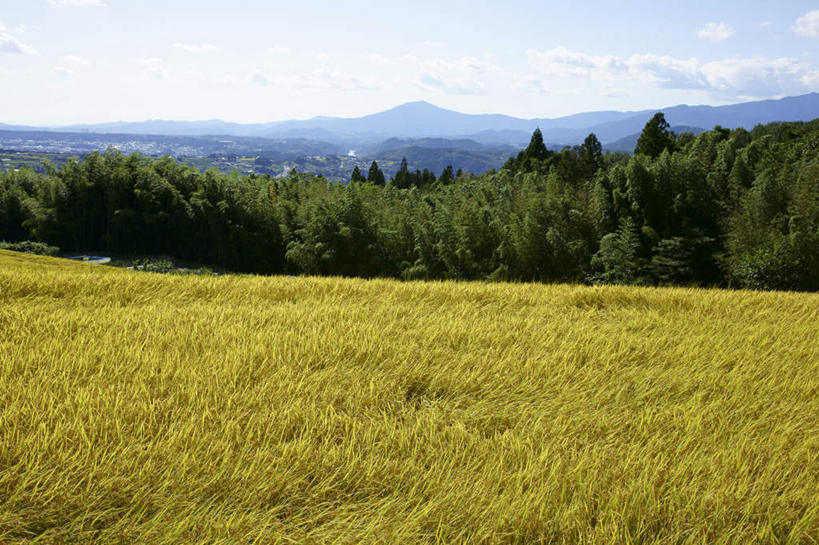 无人,家,农田,横图,室外,白天,正面,旅游,度假,农业,庄稼,农作物,石头,美景,山,山脉,植物,日本,亚洲,阴影,光线,石子,影子,房屋,屋子,稻田,景观,山顶,山峰,云,云朵,山峦,云彩,娱乐,楼房,住宅,树,树木,蓝色,绿色,白云,蓝天,天空,阳光,自然,群山,天,享受,休闲,景色,放松,生长,晴朗,成长,自然风光,东亚,沉积岩,本州,本州岛,日本国,中部地方,岐阜,岐阜县,颠峰,极峰,水成岩,石块,岩石,晴空,彩图,耕地,庄稼田,房子