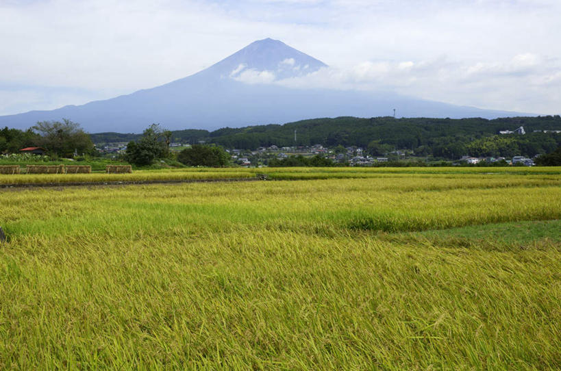 无人,家,农田,横图,室外,白天,正面,旅游,度假,农业,庄稼,农作物,火山,石头,美景,山,山脉,植物,道路,富士山,静冈县,日本,亚洲,一排,许多,阴影,整齐,光线,信息,石子,影子,房屋,屋子,稻田,景观,山顶,山峰,云,云朵,灯塔,交通,山峦,云彩,方向,娱乐,楼房,住宅,树,树木,排列,蓝色,绿色,白云,蓝天,天空,阳光,自然,群山,天,享受,休闲,景色,放松,生长,晴朗,成长,引导,指引,队列,自然风光,东亚,沉积岩,本州,本州岛,日本国,中部地方,静冈,山梨,山梨县,航标,颠峰,极峰,水成岩,活火山,石块,死火山,休眠火山,岩石,晴空,彩图,耕地,庄稼田,房子,导航