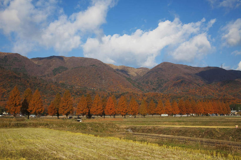 无人,家,农田,横图,室外,白天,正面,旅游,度假,农业,庄稼,农作物,石头,美景,秋季,山,山脉,植物,叶子,日本,亚洲,一排,阴影,整齐,光线,石子,影子,房屋,屋子,稻田,景观,山顶,山峰,云,云朵,枯叶,落叶,山峦,云彩,娱乐,楼房,住宅,树,树木,排列,黄色,红色,蓝色,绿色,白云,蓝天,天空,阳光,自然,群山,天,享受,休闲,景色,放松,生长,晴朗,成长,队列,自然风光,东亚,沉积岩,本州,本州岛,日本国,近畿地方,近畿,滋贺,滋贺县,颠峰,极峰,水成岩,叶,叶片,石块,岩石,晴空,秋,秋天,彩图,耕地,庄稼田,房子