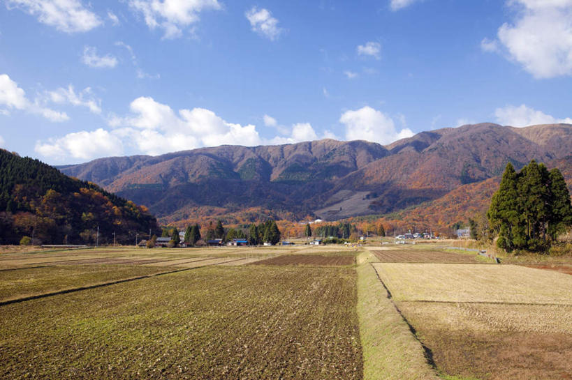 无人,家,农田,横图,室外,白天,正面,旅游,度假,农业,庄稼,农作物,石头,美景,秋季,山,山脉,植物,叶子,日本,亚洲,许多,阴影,电力,光线,电线,电线杆,石子,线,影子,房屋,屋子,稻田,景观,山顶,山峰,云,云朵,枯叶,落叶,电能,山峦,线路,云彩,娱乐,楼房,住宅,树,树木,黄色,红色,蓝色,绿色,白云,蓝天,天空,阳光,自然,群山,天,享受,休闲,景色,放松,生长,晴朗,成长,电,电源,自然风光,能量,东亚,沉积岩,本州,本州岛,日本国,近畿地方,近畿,滋贺,滋贺县,颠峰,极峰,水成岩,叶,叶片,石块,岩石,晴空,秋,秋天,彩图,耕地,庄稼田,房子