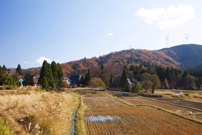 无人,家,农田,横图,室外,白天,正面,旅游,度假,农业,庄稼,农作物,石头,美景,秋季,山,山脉,植物,叶子,日本,亚洲,许多,阴影,电力,光线,钢材,电缆,电线,电线杆,石子,线,影子,支架,房屋,屋子,稻田,景观,山顶,山峰,云,云朵,枯叶,落叶,电能,山峦,线路,云彩,娱乐,电塔,楼房,住宅,树,树木,黄色,红色,蓝色,绿色,白云,蓝天,天空,阳光,自然,群山,天,享受,休闲,景色,放松,生长,能源,晴朗,成长,电,支撑,电源,资源,自然风光,供电设备,能量,东亚,沉积岩,高压电塔,高压输电线,本州,本州岛,日本国,近畿地方,近畿,滋贺,滋贺县,三座,高压电线塔,高压塔,颠峰,极峰,水成岩,叶,叶片,石块,岩石,晴空,秋,秋天,彩图,耕地,庄稼田,房子
