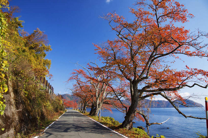 无人,栏杆,横图,室外,白天,正面,旅游,度假,湖,湖泊,石头,美景,秋季,山,山脉,水,植物,道路,路,公路,叶子,日本,亚洲,一排,阴影,整齐,光线,石子,影子,栅栏,湖面,景观,篱笆,山顶,山峰,水流,水面,围栏,枯叶,落叶,交通,山峦,娱乐,护栏,树,树木,排列,黄色,红色,蓝色,绿色,蓝天,天空,阳光,自然,湖水,群山,天,享受,休闲,景色,放松,生长,晴朗,成长,队列,自然风光,东亚,沉积岩,本州,万里无云,本州岛,日本国,近畿地方,近畿,滋贺,滋贺县,颠峰,极峰,水成岩,叶,叶片,石块,岩石,晴空,晴空万里,秋,秋天,马路,彩图