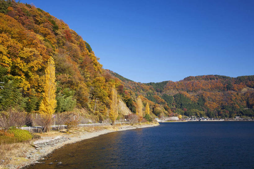 无人,家,横图,室外,白天,正面,旅游,度假,湖,湖泊,石头,美景,秋季,山,山脉,水,植物,道路,路,公路,叶子,日本,亚洲,许多,阴影,电力,光线,电线,电线杆,石子,线,影子,栅栏,房屋,屋子,湖面,景观,山顶,山峰,水流,水面,枯叶,落叶,电能,交通,山峦,线路,娱乐,楼房,住宅,树,树木,黄色,红色,蓝色,绿色,蓝天,天空,阳光,自然,湖水,群山,天,享受,休闲,景色,放松,生长,晴朗,成长,电,电源,自然风光,能量,东亚,沉积岩,本州,万里无云,本州岛,日本国,近畿地方,近畿,滋贺,滋贺县,颠峰,极峰,水成岩,叶,叶片,石块,岩石,晴空,晴空万里,秋,秋天,马路,彩图,房子