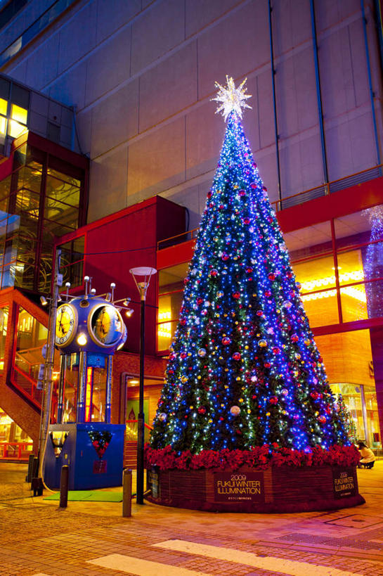 无人,高楼大厦,竖图,室外,夜晚,仰视,度假,美景,植物,城市风光,城市,大厦,道路,建筑,路,路灯,摩天大楼,商场,夜景,日本,圣诞节,亚洲,阴影,节日,庆祝,装饰,光线,影子,景观,建筑群,小路,灯光,圣诞树,交通,文化,娱乐,建设,树,树木,一个,绿色,自然,庆典,享受,休闲,景色,放松,生长,单个,成长,纪念,华丽,修饰,点缀,东亚,本州,本州岛,日本国,中部地方,福井,福井县,衬托,美观,雅致,雅观,彩图,低角度拍摄,大楼,高层建筑,高楼,摩天楼