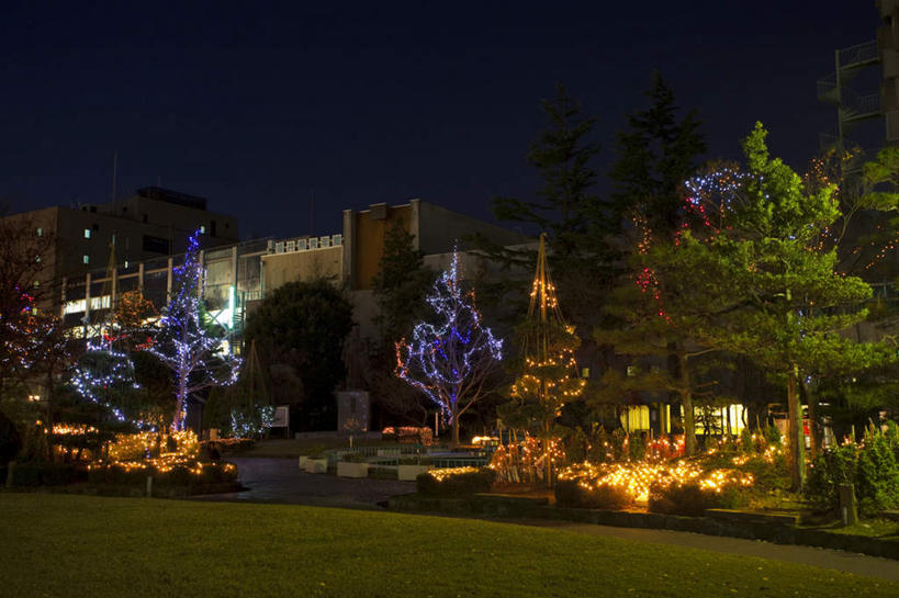 无人,家,高楼大厦,广场,栏杆,横图,室外,夜晚,正面,度假,草地,草坪,美景,植物,楼梯,城市风光,城市,大厦,道路,建筑,路,摩天大楼,夜景,日本,圣诞节,亚洲,阴影,节日,庆祝,光线,扶手,影子,房屋,阶梯,屋子,景观,公寓,建筑群,小路,灯光,交通,文化,娱乐,建设,洋房,护栏,楼房,台阶,住宅,草,树,树木,蓝色,绿色,蓝天,天空,自然,天,庆典,享受,休闲,景色,放松,生长,成长,纪念,东亚,本州,本州岛,日本国,中部地方,福井,福井县,彩图,房子,大楼,高层建筑,高楼,摩天楼