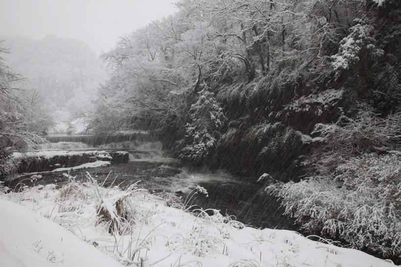 无人,横图,室外,白天,正面,旅游,度假,草地,草坪,湖,湖泊,美景,树林,水,雪,植物,大雪,富山县,日本,亚洲,阴影,光线,影子,湖面,积雪,景观,水流,水面,雪景,冬季,冬天,娱乐,草,树,树木,绿色,阳光,自然,湖水,享受,休闲,景色,放松,寒冷,生长,成长,自然风光,东亚,本州,本州岛,日本国,中部地方,严寒,富山,彩图