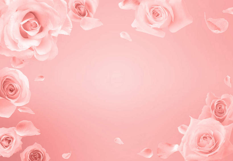 无人,横图,插画,室内,白天,正面,爱情,幸福,纯洁,热情,数码,科技,玫瑰,许多,阴影,粉色背景,散落,盛开,网络,方格,格子,玫瑰花,高光,几何,计算机图形,浪漫,合成,花蕾,图画,画,花,花瓣,花朵,鲜花,排列,粉色,花苞,花蕊,温暖,温馨,恩爱,电脑合成图,数码合成图,和睦,队列,感动,漫画,写实,具体,具象,尊敬,天真,刺玫花,徘徊花,墙纸,彩图,融洽