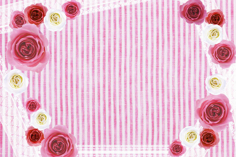 无人,横图,插画,室内,白天,正面,爱情,幸福,纯洁,热情,数码,科技,玫瑰,许多,阴影,粉色背景,条纹,散落,盛开,网络,方格,格子,玫瑰花,高光,几何,计算机图形,浪漫,合成,花蕾,图画,画,花,花瓣,花朵,鲜花,排列,红色,紫色,白色,花苞,花蕊,温暖,温馨,恩爱,电脑合成图,数码合成图,和睦,队列,感动,漫画,写实,具体,具象,尊敬,天真,刺玫花,徘徊花,墙纸,彩图,融洽