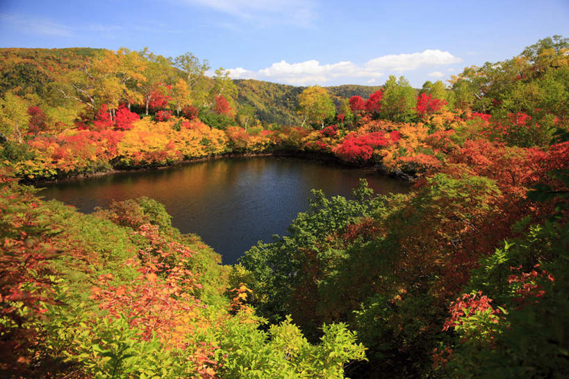 无人,横图,俯视,室外,白天,旅游,度假,湖,湖泊,石头,美景,秋季,山,山脉,树林,水,植物,北海道,日本,亚洲,阴影,光线,石子,影子,湖面,景观,山顶,山峰,水流,水面,云,云朵,山峦,云彩,娱乐,树,树木,黄色,红色,蓝色,绿色,白云,蓝天,天空,阳光,自然,湖水,群山,天,享受,休闲,景色,放松,生长,晴朗,成长,自然风光,东亚,沉积岩,日本国,北海道地方,北海道岛,道北,颠峰,极峰,水成岩,石块,岩石,晴空,秋,秋天,彩图,高角度拍摄,上川支厅