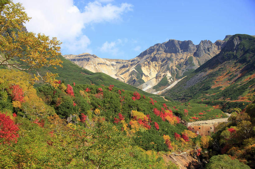 无人,横图,室外,白天,正面,旅游,度假,河流,石头,美景,秋季,山,山脉,树林,水,植物,北海道,日本,亚洲,阴影,光线,石子,影子,河水,景观,山顶,山峰,水流,云,云朵,山峦,云彩,娱乐,树,树木,黄色,红色,蓝色,绿色,白云,蓝天,天空,小溪,阳光,自然,群山,天,溪水,享受,休闲,景色,放松,生长,晴朗,成长,自然风光,东亚,沉积岩,日本国,北海道地方,北海道岛,道北,颠峰,极峰,水成岩,石块,岩石,晴空,秋,秋天,彩图,上川支厅
