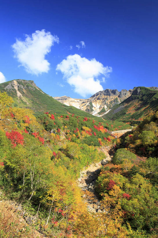 无人,竖图,室外,白天,正面,旅游,度假,河流,石头,美景,秋季,山,山脉,树林,水,植物,北海道,日本,亚洲,阴影,光线,石子,影子,河水,景观,山顶,山峰,水流,云,云朵,山峦,云彩,娱乐,树,树木,黄色,红色,蓝色,绿色,白云,蓝天,天空,小溪,阳光,自然,群山,天,溪水,享受,休闲,景色,放松,生长,晴朗,成长,自然风光,东亚,沉积岩,日本国,北海道地方,北海道岛,道北,颠峰,极峰,水成岩,石块,岩石,晴空,秋,秋天,彩图,上川支厅