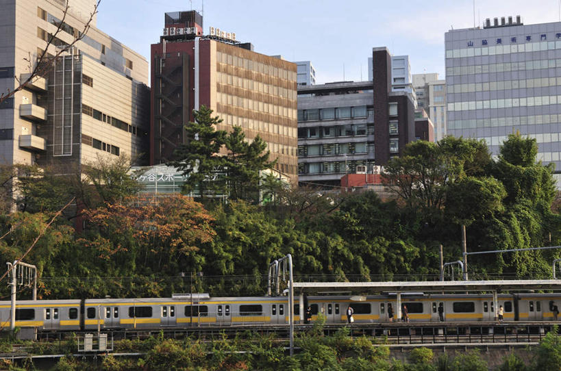 无人,高楼大厦,火车站,横图,室外,白天,正面,旅游,度假,草地,草坪,美景,植物,窗户,大厦,道路,地铁,建筑,街道,路,摩天大楼,指示牌,公路,汽车,东京,日本,亚洲,一排,许多,整齐,标志,文字,景观,云,云朵,分界线,轨道交通,交通,云彩,娱乐,标识,玻璃窗,车,草,树,树木,排列,蓝色,绿色,白云,蓝天,天空,自然,交通工具,轿车,天,享受,休闲,景色,放松,千代田区,生长,成长,车行道,队列,自然风光,东亚,车行线,本州,关东地方,本州岛,日本国,东京都,马路,彩图,大楼,高层建筑,高楼,摩天楼,地铁机动车,地下铁,轻轨