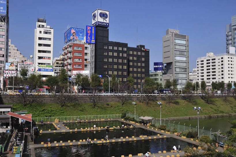 无人,高楼大厦,火车站,横图,室外,白天,正面,旅游,度假,草地,草坪,美景,植物,窗户,大厦,道路,地铁,建筑,街道,路,摩天大楼,指示牌,公路,汽车,东京,日本,亚洲,一排,许多,整齐,标志,文字,景观,云,云朵,分界线,轨道交通,交通,云彩,娱乐,标识,玻璃窗,车,草,树,树木,排列,蓝色,绿色,白云,蓝天,天空,自然,交通工具,轿车,天,享受,休闲,景色,放松,千代田区,生长,成长,车行道,队列,自然风光,东亚,车行线,本州,关东地方,本州岛,日本国,东京都,马路,彩图,大楼,高层建筑,高楼,摩天楼,地铁机动车,地下铁,轻轨