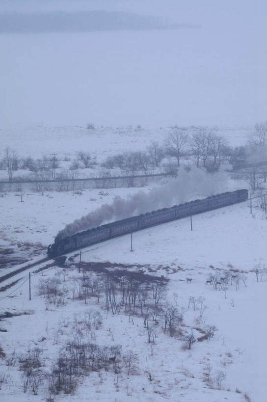 无人,竖图,俯视,航拍,室外,白天,旅游,度假,美景,雪,大雪,火车,日本,亚洲,积雪,景观,雪景,冬季,冬天,娱乐,车,自然,交通工具,享受,休闲,景色,放松,寒冷,鸟瞰,自然风光,载具,蒸汽机,东亚,日本国,严寒,蒸汽机车,火车机车,彩图,高角度拍摄