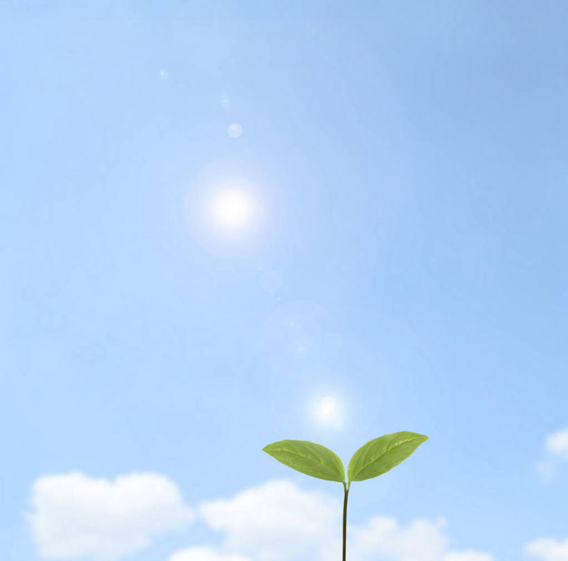 无人,横图,室内,白天,正面,数码,科技,叶子,阴影,环保,光线,网络,影子,云,云朵,绿叶,高光,几何,计算机图形,合成,云彩,幼苗,蓝色,白云,蓝天,天空,阳光,嫩芽,天,嫩叶,能源,晴朗,回收,电脑合成图,数码合成图,资源,合成图,利用,低碳,秧苗,循环,写实,具体,具象,一株,新苗,持续,叶,叶片,晴空,彩图