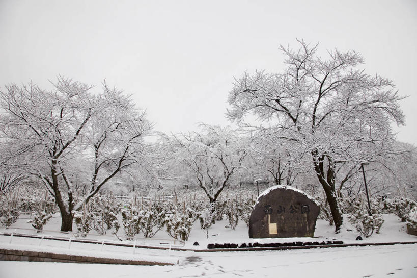 无人,家,木屋,横图,室外,白天,正面,旅游,度假,美景,树林,雪,植物,大雪,日本,亚洲,积雪,景观,雪景,冬季,冬天,枝条,千叶县,娱乐,住宅,树,树木,树枝,蓝色,绿色,蓝天,天空,自然,天,享受,休闲,景色,放松,寒冷,生长,晴朗,成长,自然风光,东亚,本州,万里无云,关东地方,本州岛,日本国,严寒,千叶,虬枝,枝杈,晴空,晴空万里,彩图,茅舍,茅屋,棚屋,小木屋,小屋,富津,富津市