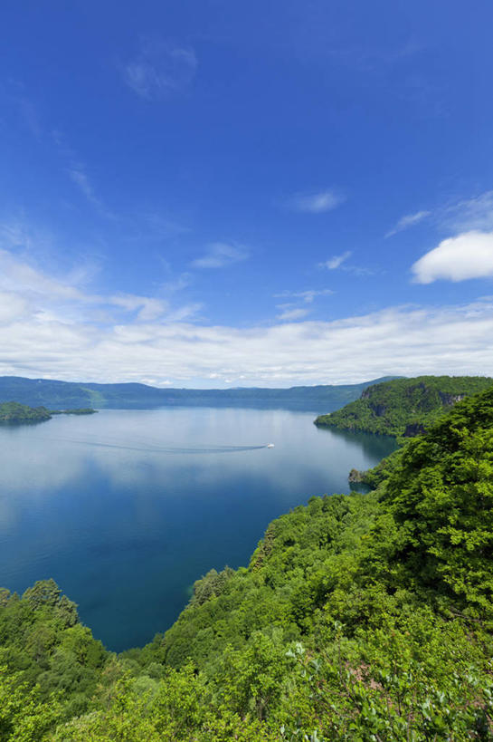 无人,公园,竖图,俯视,室外,白天,旅游,度假,湖,湖泊,美景,树林,水,植物,秋田县,日本,亚洲,阴影,光线,影子,湖面,景观,水流,水面,云,云朵,云彩,娱乐,树,树木,蓝色,绿色,白云,蓝天,天空,阳光,自然,湖水,天,享受,休闲,景色,放松,生长,晴朗,成长,自然风光,东亚,本州,本州岛,日本国,秋田,岩手,岩手县,青森,青森县,东北地方,十和田湖,十和田八幡平国立公园,晴空,彩图,高角度拍摄