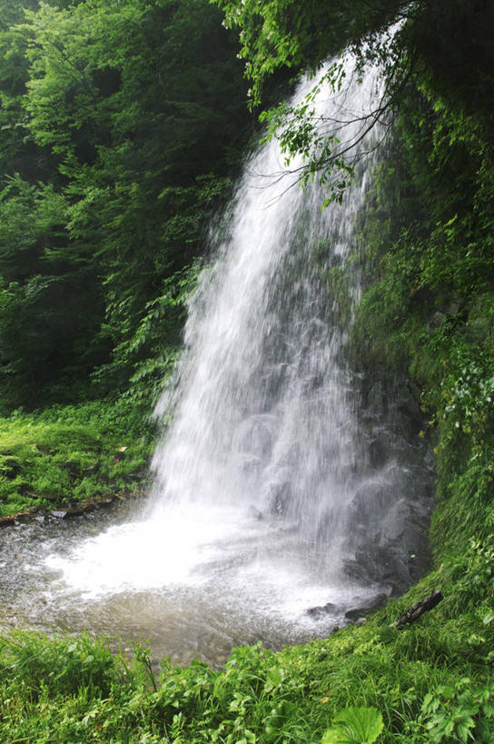 无人,竖图,室外,白天,正面,旅游,度假,草地,草坪,美景,瀑布,树林,水,植物,秋田县,日本,亚洲,阴影,飞溅,溅,光线,液体,影子,景观,水滴,娱乐,水珠,草,树,树木,绿色,阳光,自然,享受,休闲,景色,放松,生长,成长,喷洒,自然风光,东亚,本州,本州岛,日本国,秋田,东北地方,跌水,彩图,鹿角市
