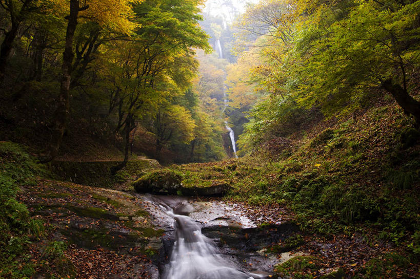 无人,横图,室外,白天,正面,旅游,度假,河流,石头,美景,瀑布,森林,树林,水,峡谷,植物,日本,亚洲,飞溅,溅,石子,液体,河水,景观,水滴,水流,山谷,娱乐,水珠,树,树木,绿色,自然,享受,休闲,景色,放松,生长,成长,岩层,喷洒,自然风光,东亚,本州,本州岛,日本国,近畿地方,近畿,兵库,兵库县,美方郡,香美町,跌水,石块,岩石,彩图,猿尾瀑布