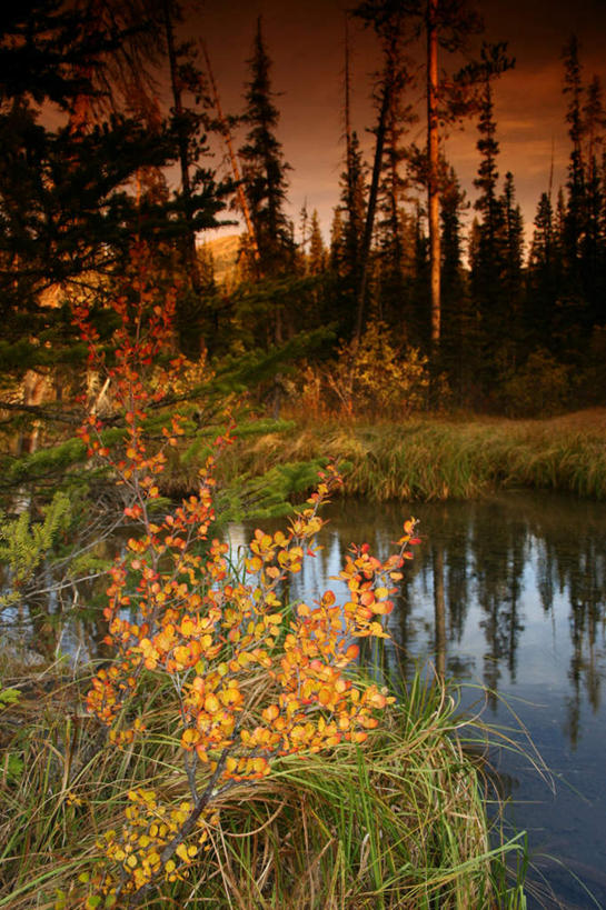 无人,竖图,室外,白天,正面,旅游,度假,湖,湖泊,美景,秋季,日落,森林,树林,水,植物,平静,湖面,景观,水流,水面,晚霞,霞光,落日,娱乐,树,树木,红色,绿色,天空,自然,黄昏,湖水,天,享受,休闲,景色,彩霞,安静,放松,生长,成长,宁静,静谧,自然风光,镇静,冷静,沉静,恬静,安祥,僻静,清静,太平,夕照,秋,秋天,夕阳,彩图,斜阳