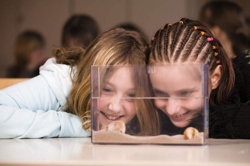 西方人,学校,坐,笑,微笑,露齿笑,横图,室内,白天,正面,植物,桌子,玻璃,欧洲,欧洲人,阴影,服装,朦胧,模糊,光线,沙子,影子,灯光,草药,药草,鱼缸,许多人,注视,休闲装,书桌,校园,中药,玻璃制品,两个,一个,衣服,课桌,观察,看,一群人,休闲,教室,休闲服,服饰,单个,观看,察看,关注,药材,中草药,中药材,本草,苍术,赤术,青术,白种人,坐着,半身,彩图