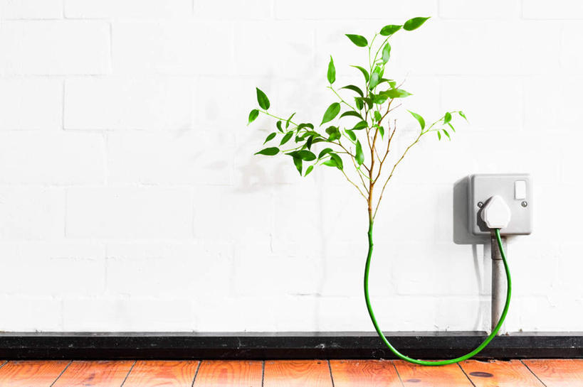 无人,横图,室内,白天,正面,数码,科技,植物,地板,叶子,阴影,环保,电力,网络,电器,电线,线,墙,茎,绿叶,插座,地面,电能,高光,几何,计算机图形,合成,线路,木地板,墙壁,墙面,绿色,嫩叶,生长,能源,成长,电,电源,电源线,回收,电脑合成图,数码合成图,资源,家用电器,能量,插线板,利用,拖线板,低碳,循环,写实,具体,具象,电源转换器,排插,持续,叶,叶片,彩图